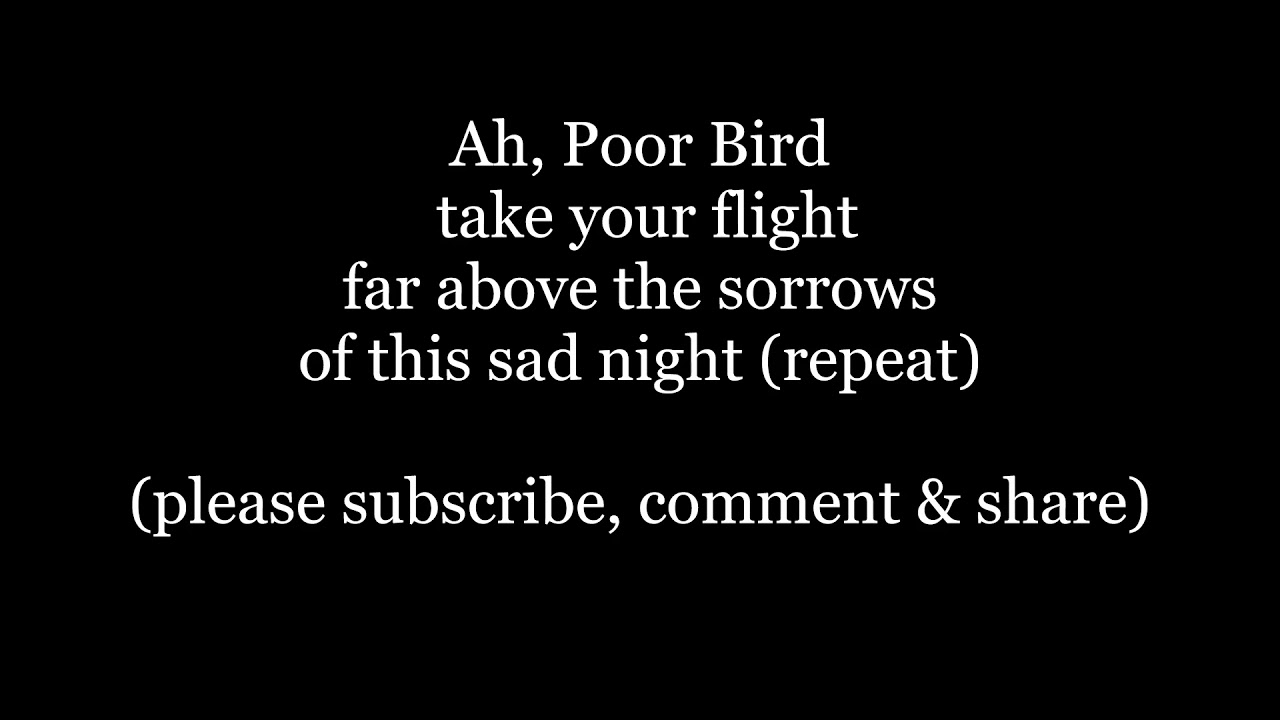 Ah, Poor Bird take your flight English round Lyrics Words trendin sing along music echo partner song