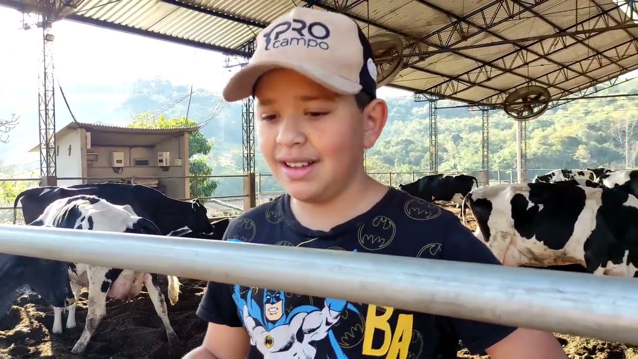Voltamos Com Os Vídeos Atualizando Atividade na Propriedade 🌽🐄🚜🙏🏽🤜🏽🐄