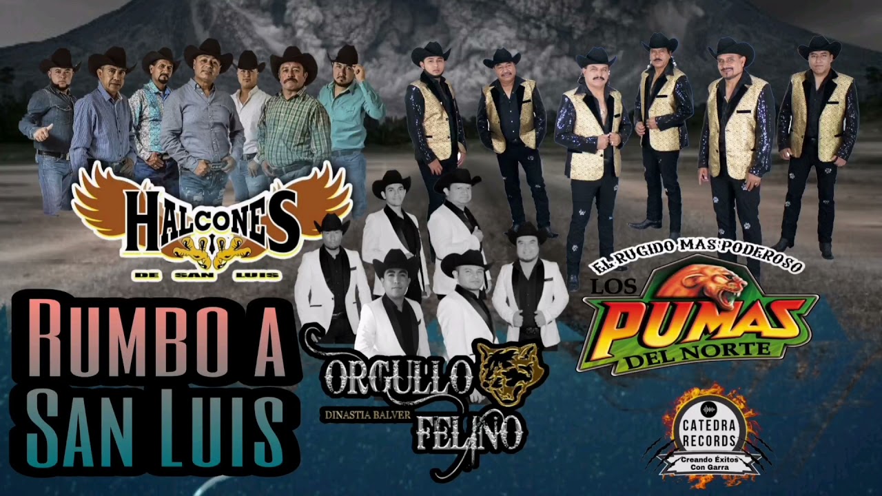 Rumbo A San Luis Halcones, Orgullo Felino, Pumas Del Norte