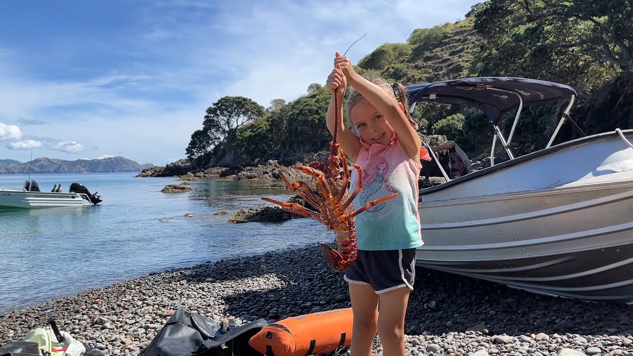 Exploring a new Island (New Zealand)