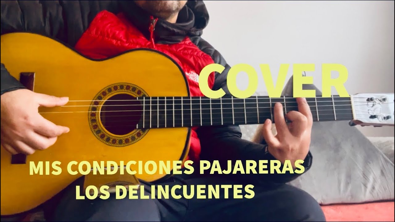 COVER MIS CONDICIONES PAJARERAS- LOS DELINCUENTES