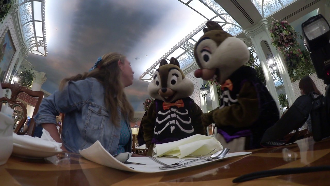 HKDL chip and dale at enchanted garden 26 October