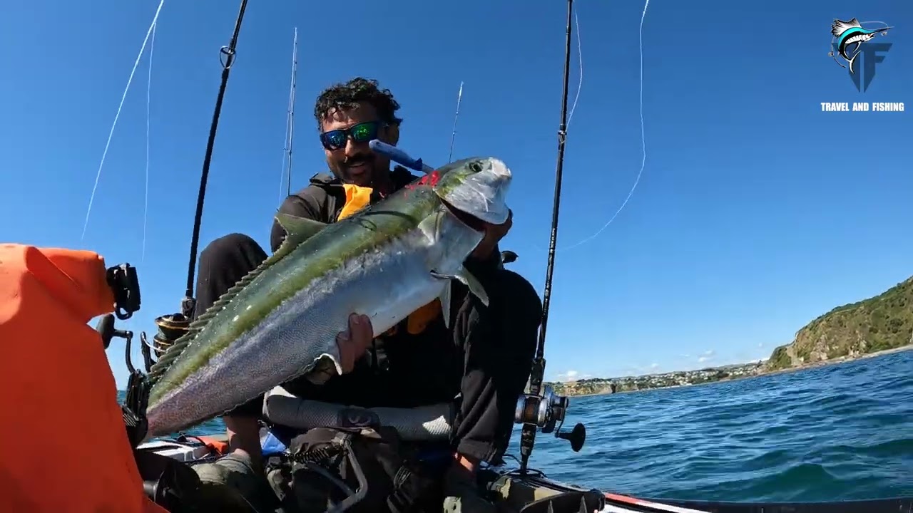 nz kayak fishing wellington big king fish