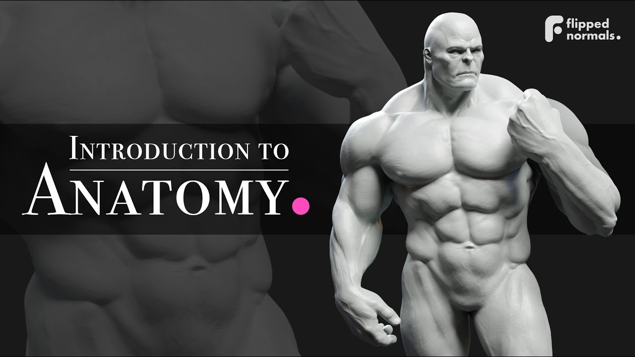 Introduction to Anatomy | Trailer