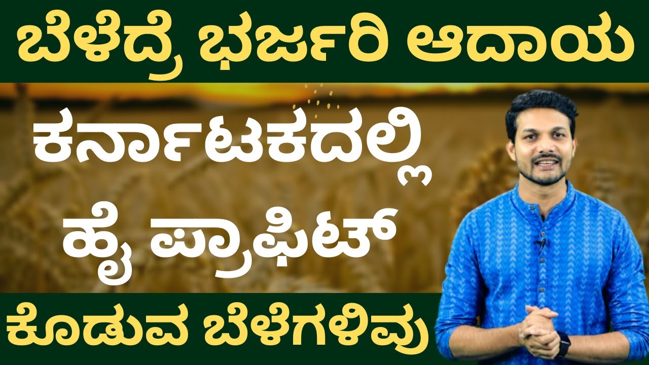 Top 10 Most Profitable Crops In Karnataka | Best Crops to Grow in Karnataka | Anil