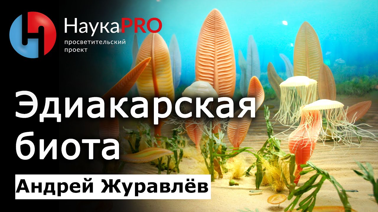 Как развивалась жизнь на Земле: эдиакарская биота &ndash; Андрей Журавлёв | Лекции по палеонтологии