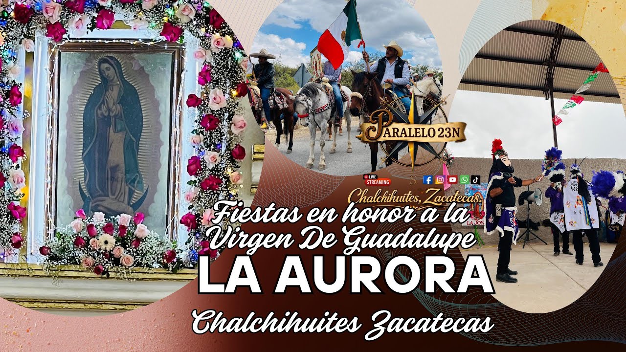Una fiesta muy diferente - Cabalgata - Virgen de Guadalupe 2026 - GRABAMOS TODO EL DÍA #paralrlo23N