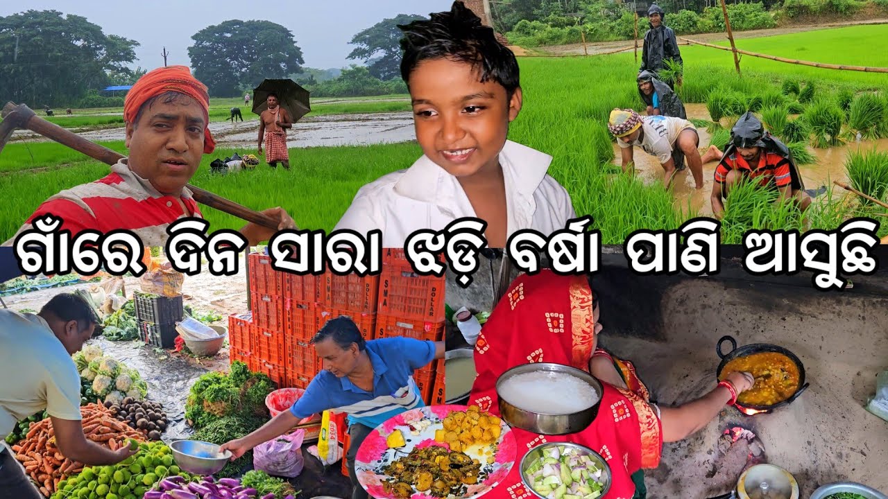 ଗାଁରେ ଦିନ ସାରା ଝଡ଼ି ବର୍ଷା ସବୁ ବେହାଲ୍ ଖାଇବା ପିଇବା ହାଟ ବାଟ @Gouranganayakodiavlogs