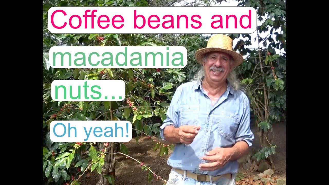 Kona Coffee Living History Farm | Hawaii | Big Island