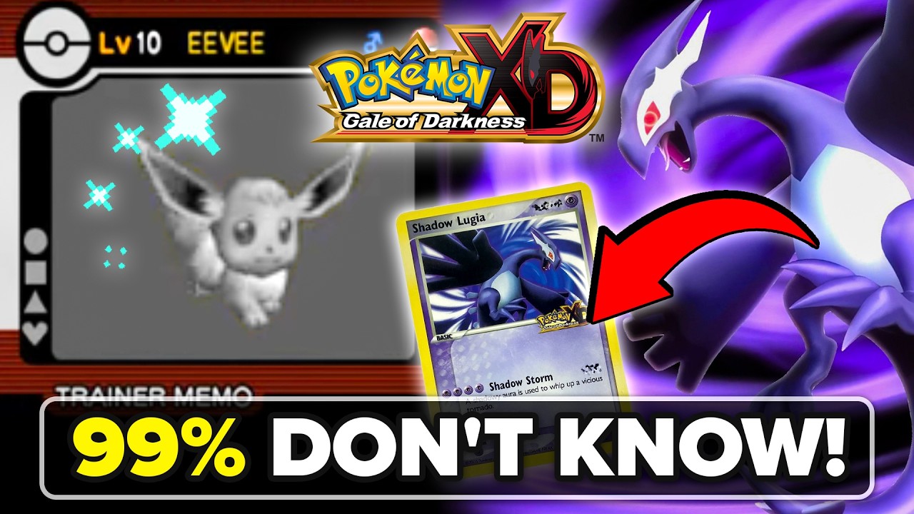 10 Secrets You NEVER Knew about Pokemon XD: Gale of Darkness! (Switch)