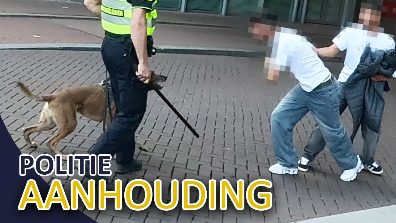 Politie | Aanhouding verdachten diefstal | Negeren bevel politie