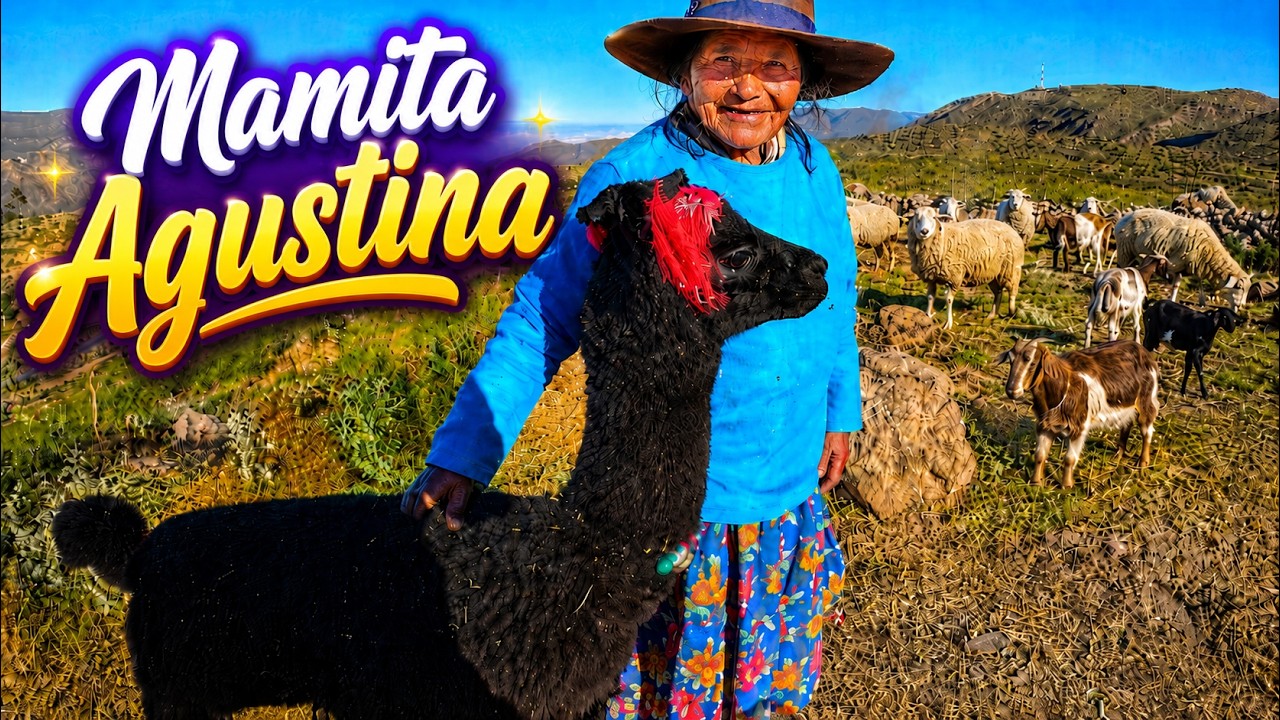 Trabajo toda su VIDA en el BASURERO en la altura de los andes 64 A&Ntilde;OS VIVIENDO DE LA BASURA