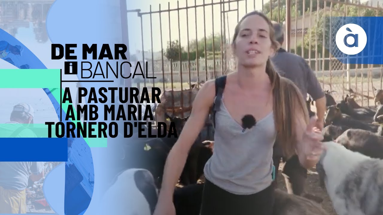 A pasturar amb Maria Tornero d'Elda - De mar i bancal