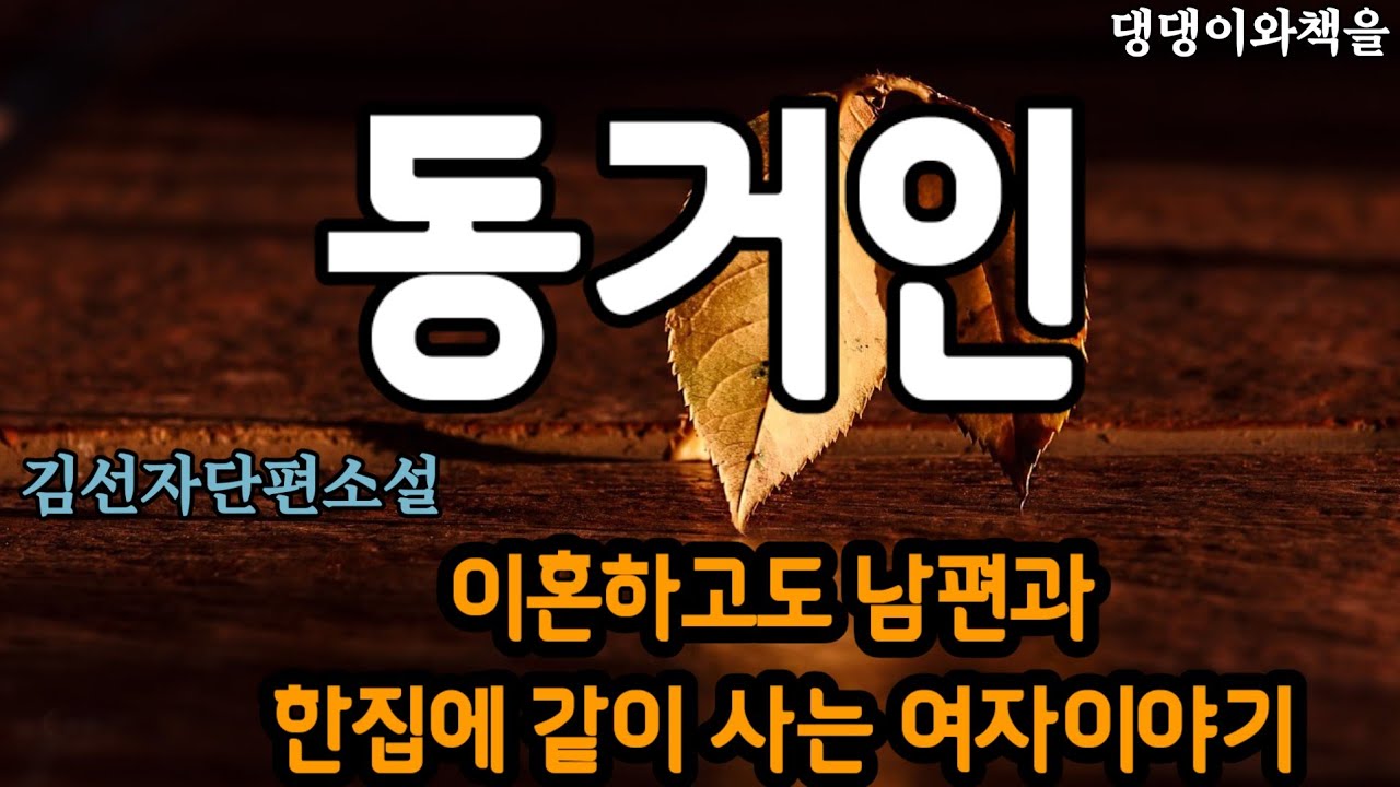 김선자/서류상 이혼이니 달라질 건 없어. 아니요, 난 진짜로 헤어질래요/책읽어주는작가
