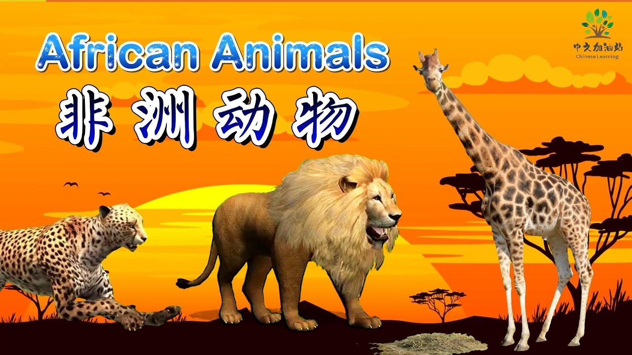 African Animals in Chinese | Easy Words with Pronunciation | ChineseClass365