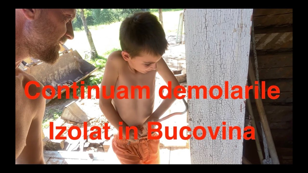 Nu mai sunt singur. Avantaje si Dezavantaje e33