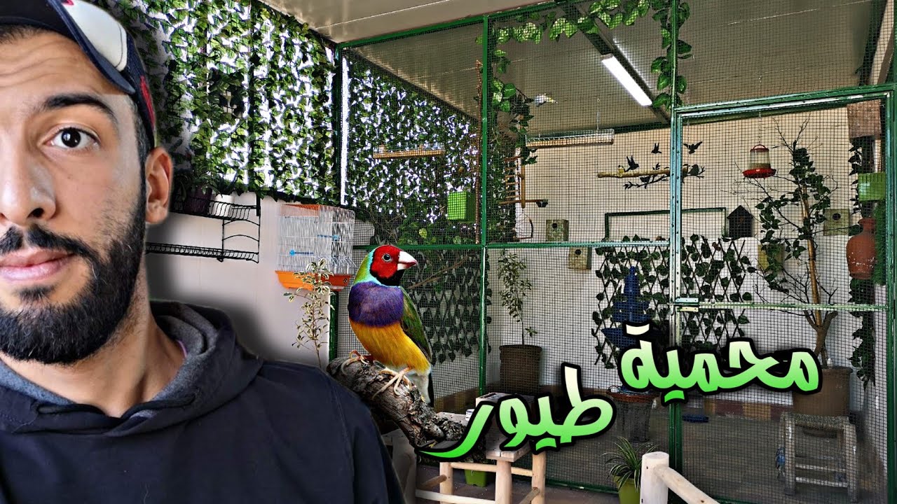 أخيييرا محمية طيور في المنزل 😍