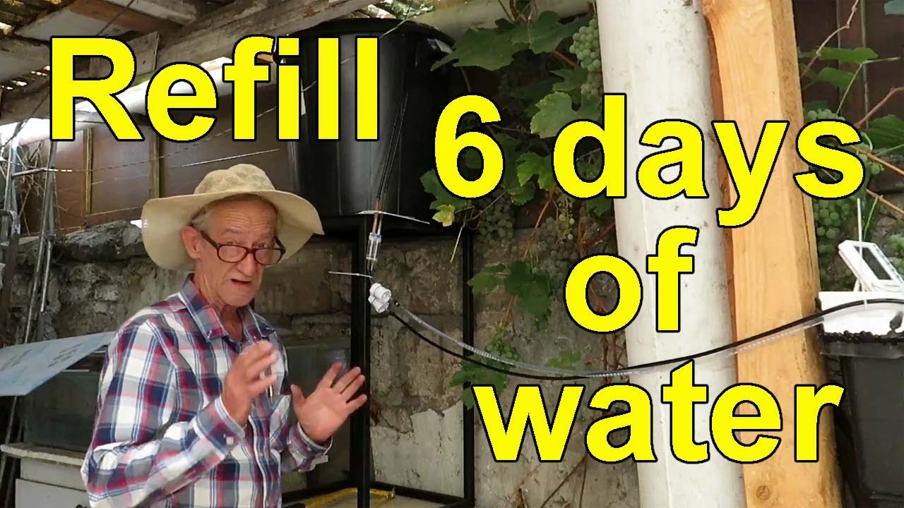 Simple automatic water refill for aquariums and ponds using gravity #aquariums  #hacks
