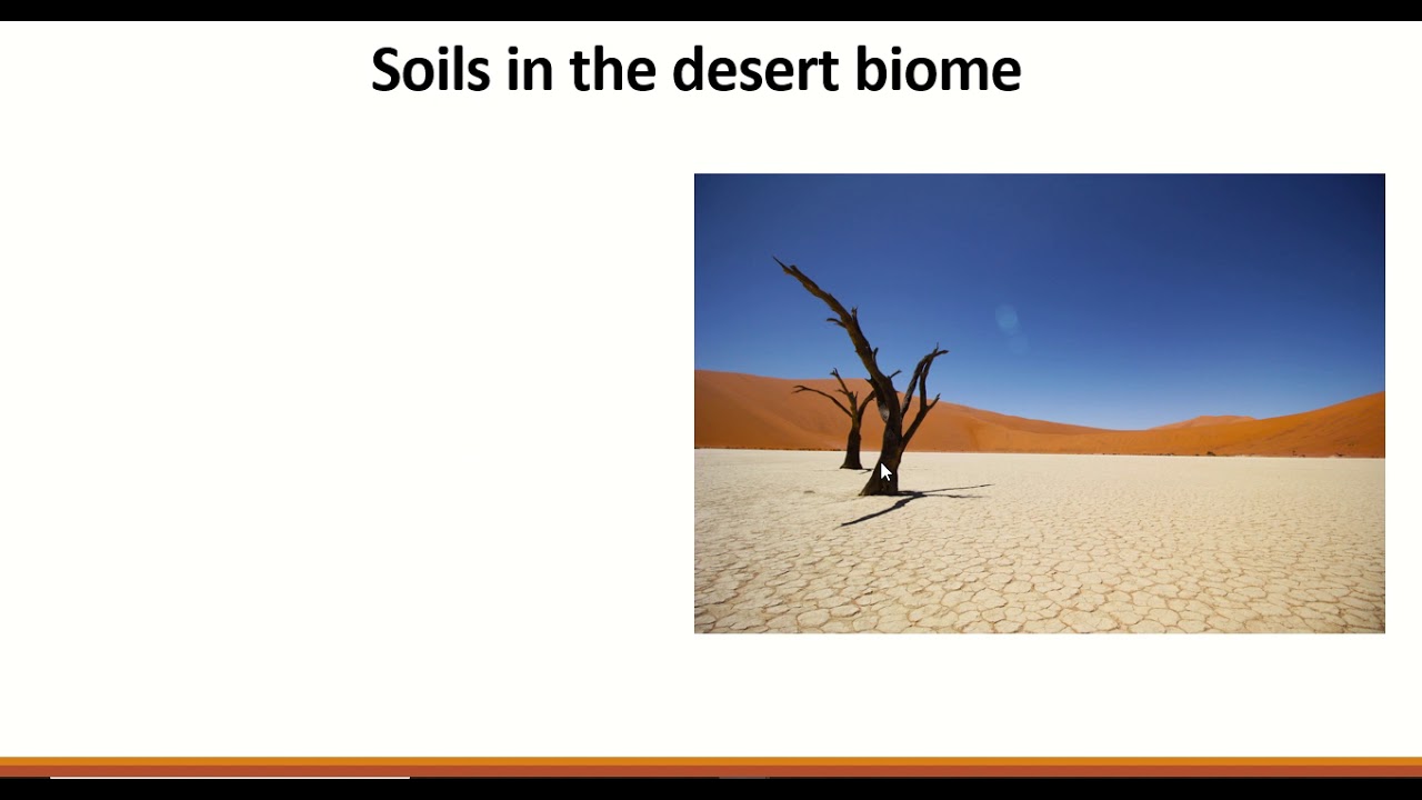 Leaving Cert Geography: Desert biome soils: part 2