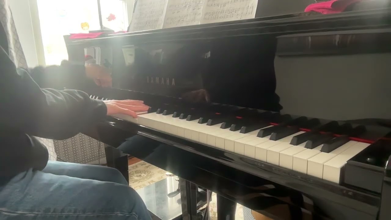 Brahms Intermezzi Op  117 No1