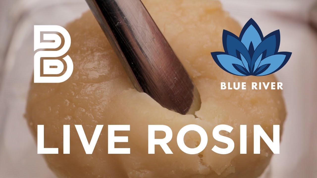 Blue River Terps Dutch Hawaiian Rosin Breakdown