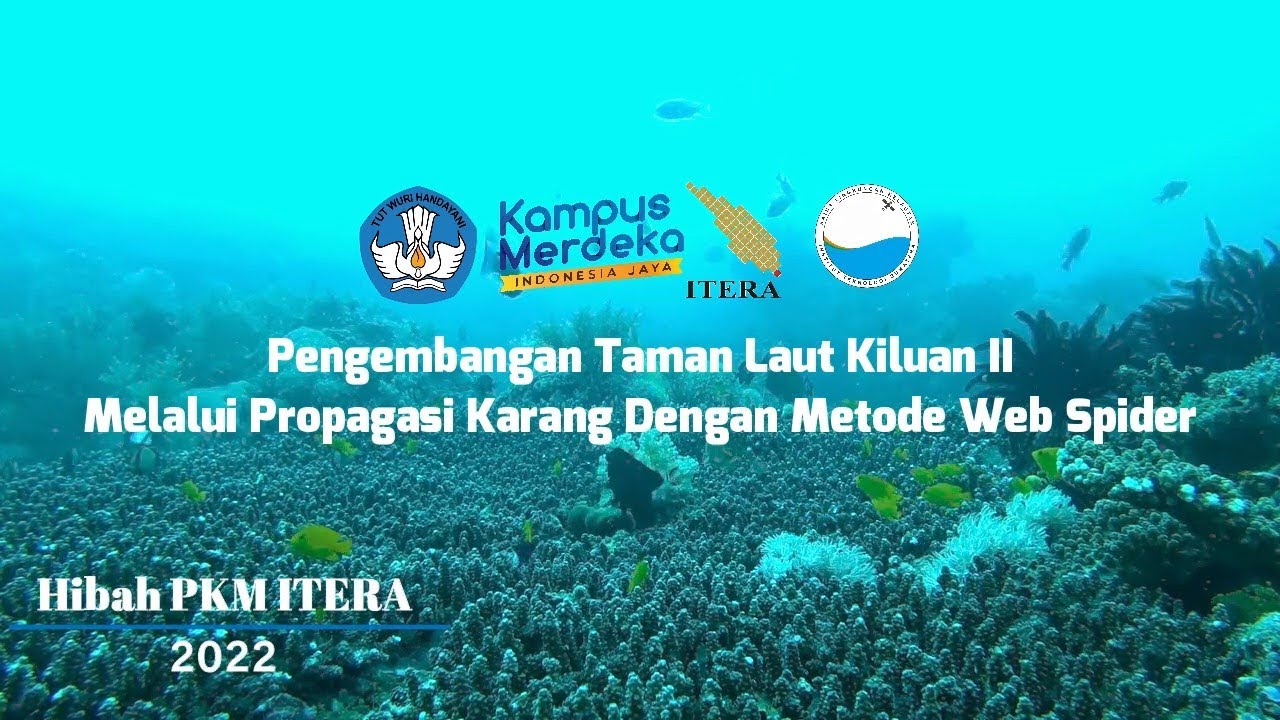 Propagasi karang menggunakan metode web spider di Teluk Kiluan [PKM PS SLL ITERA 2022]