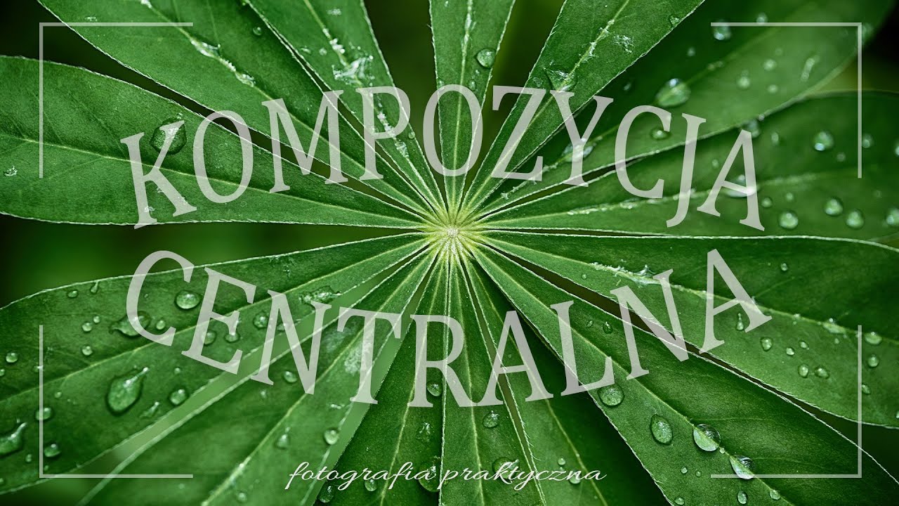 🚩 Kompozycja centralna - Fotografia jest Fajna