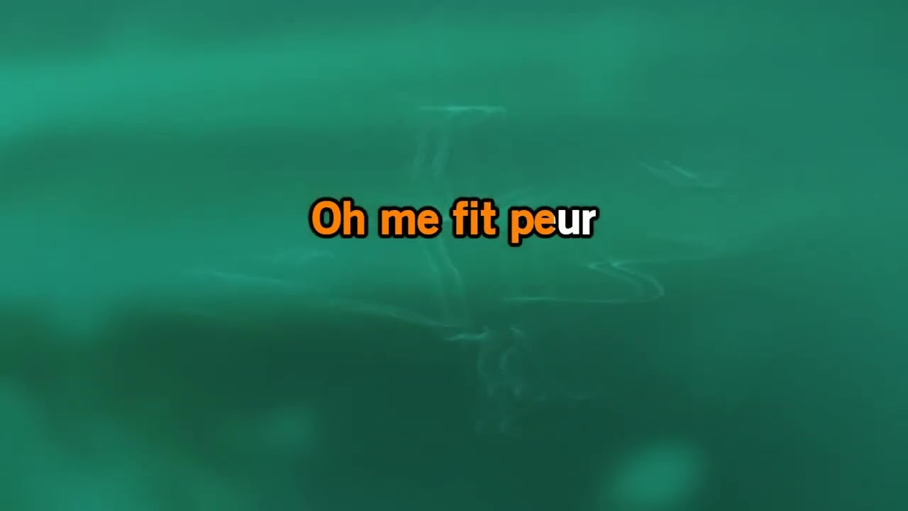 Johnny Hallyday Quelques cris Karaoke