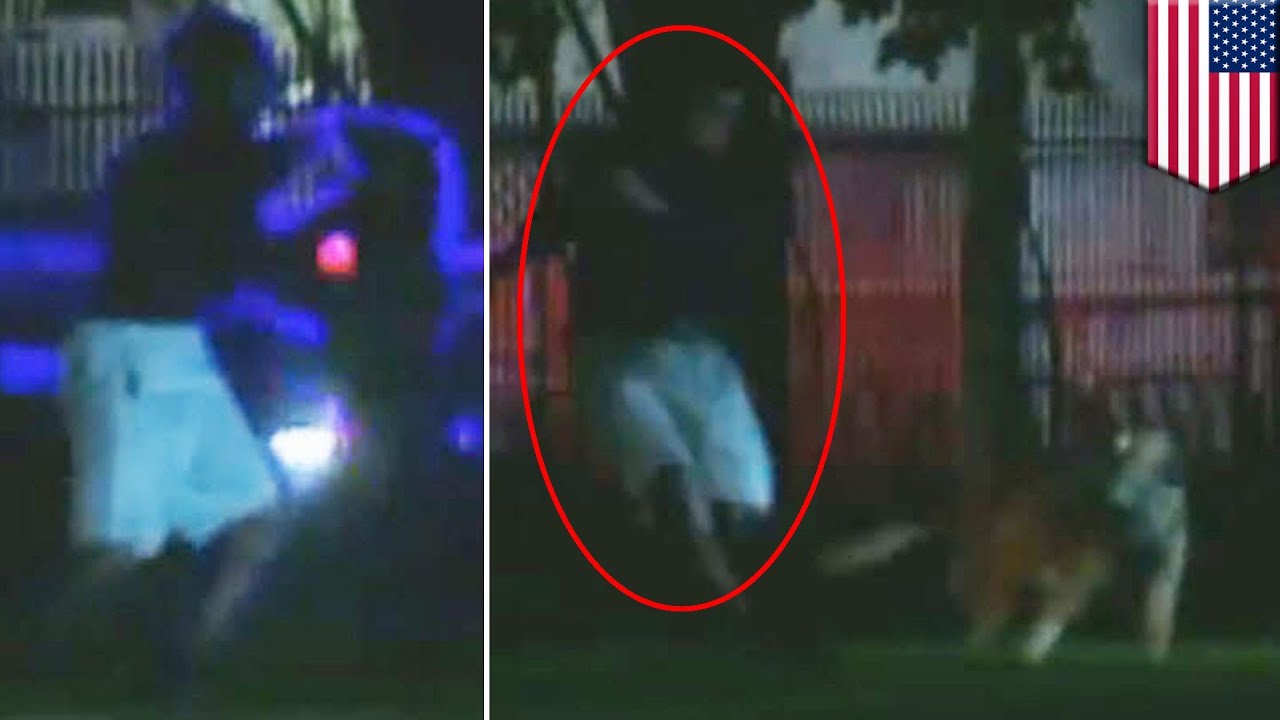 2nd White House intruder scales fence, quickly taken down by K-9 police dogs
