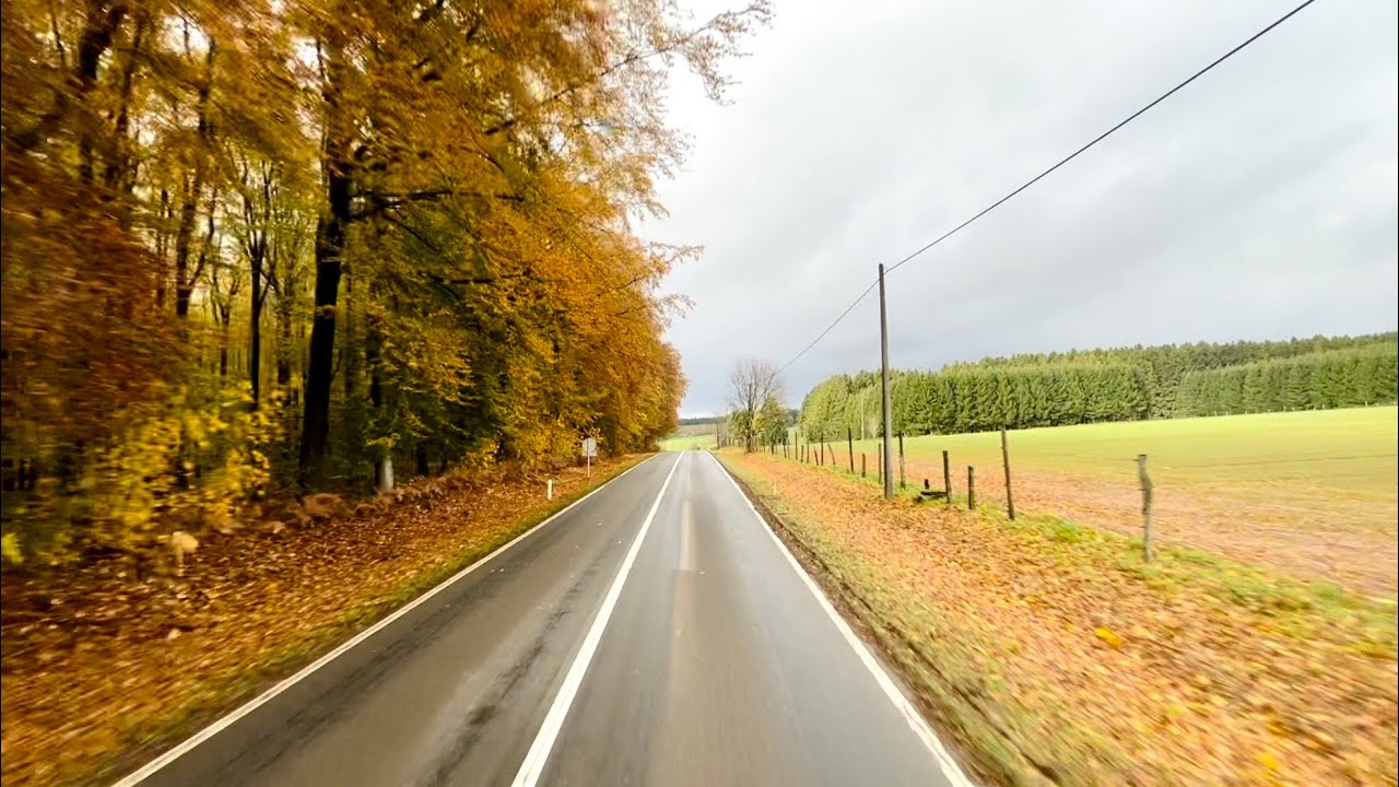 Cozy Autumn Ride - Calming Music - Delta Waves - Rainsound - Truck Ride