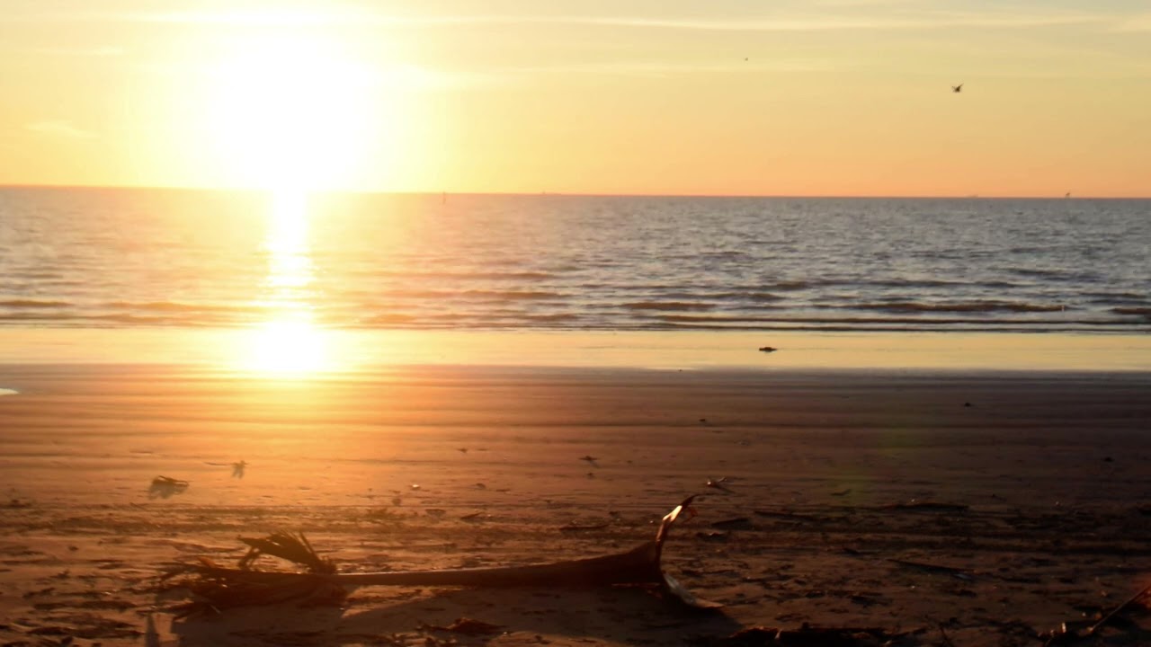 Galveston Bay Sunrise 4K - Morning Waves & Bird Sounds