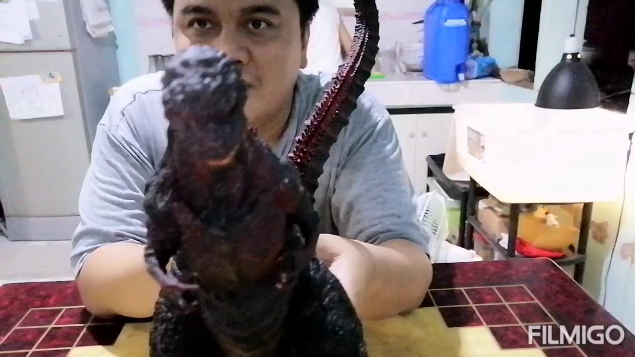 RDSaplala Unboxing: Banpresto Ichiban Kuji Shin godzilla