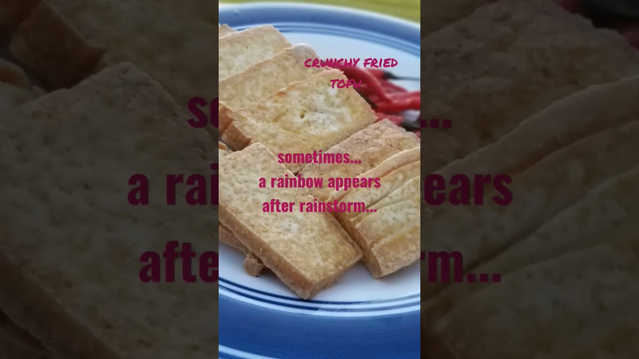 crunchy fried tofu #shorts #yummy #food #foodie  #fyp #anaktimur #love #quotes #indonesia #usa