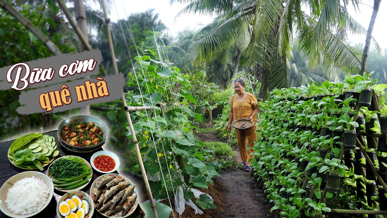 Bình Yên Những Ngày Cận Tết: Thu Hoạch Rau Vườn Và Những Món Ăn Dân Dã