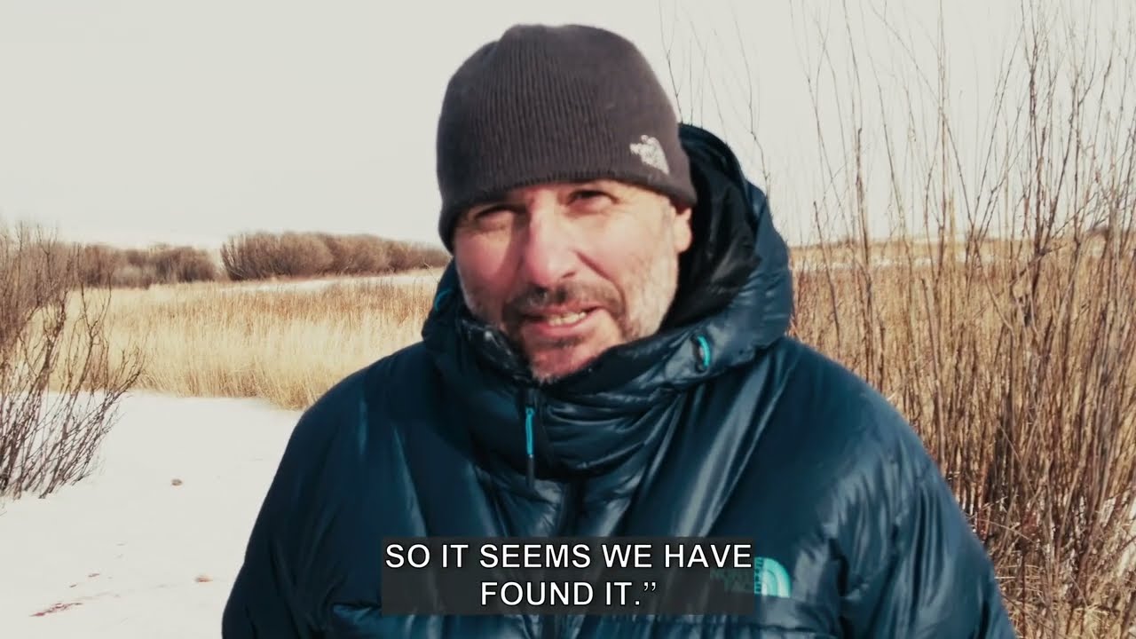 Koně Převalského zamíří také na východ Mongolska