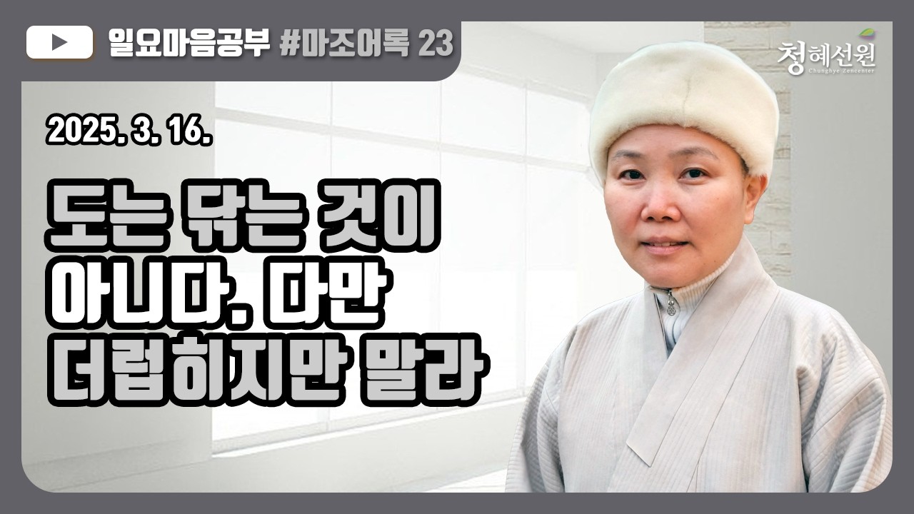 2025.03.16. [청혜선원] 일요공부ㅣ마조어록  제23회  15. 도는 닦을 필요가 없다  