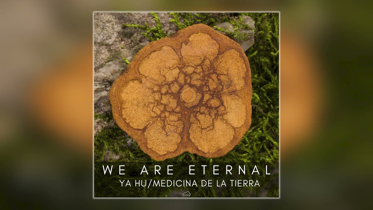 We Are Eternal - Ya Hu