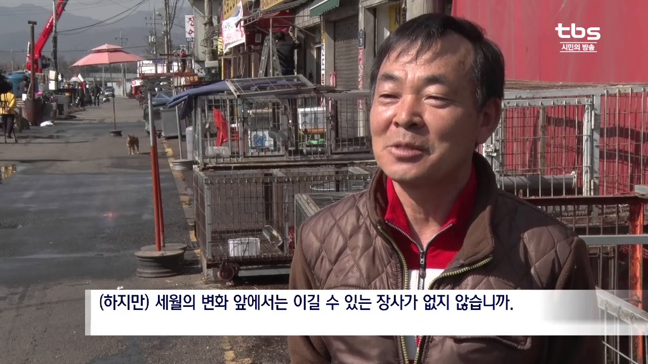 [tbsTV]모란시장, 개고기 유통시설 철거 시작