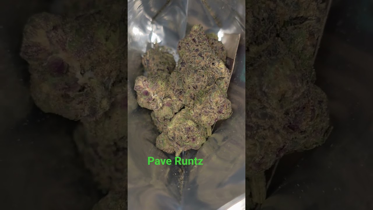 Vasco - pave Runtz