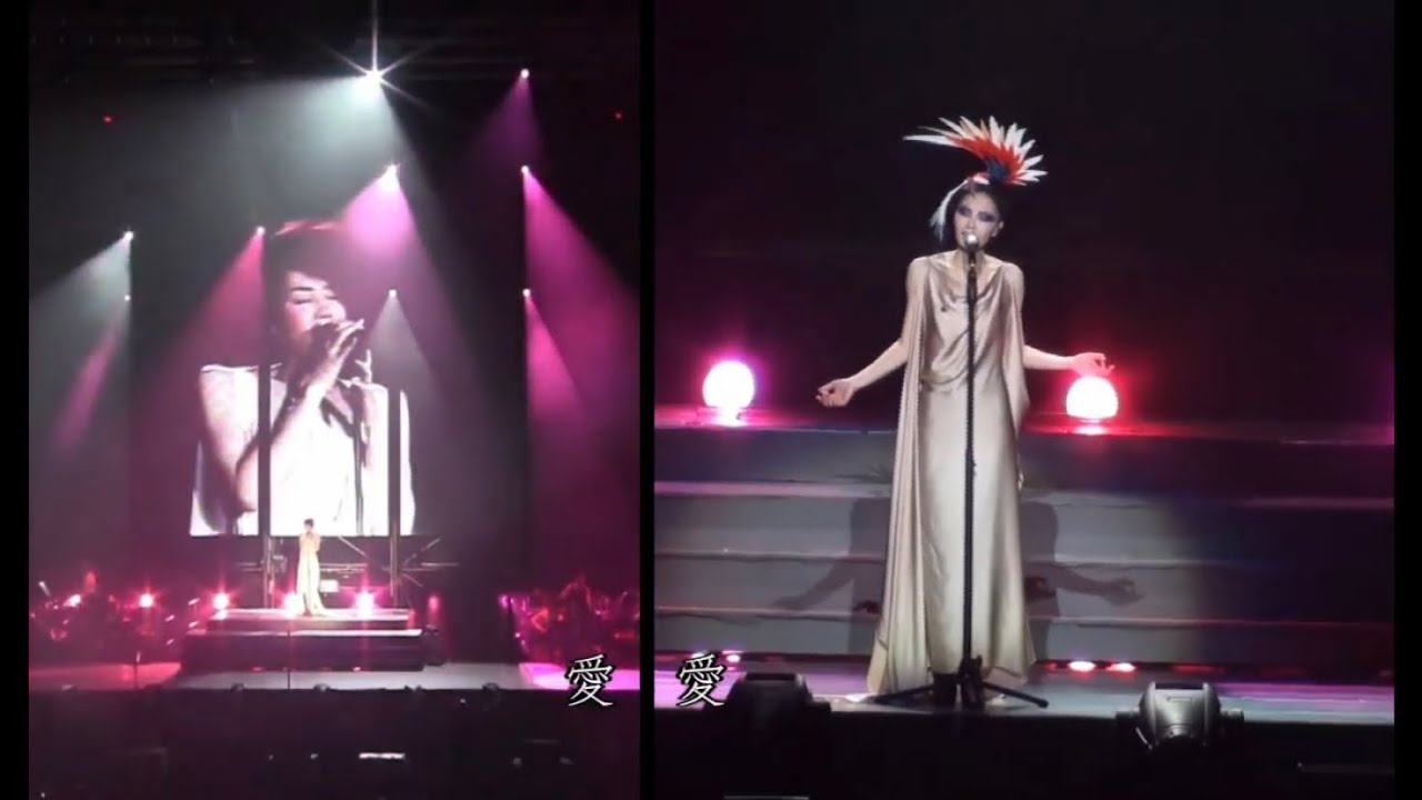 【巡唱】王菲 Faye Wong - 我愛你 Live 2010 (完整版)