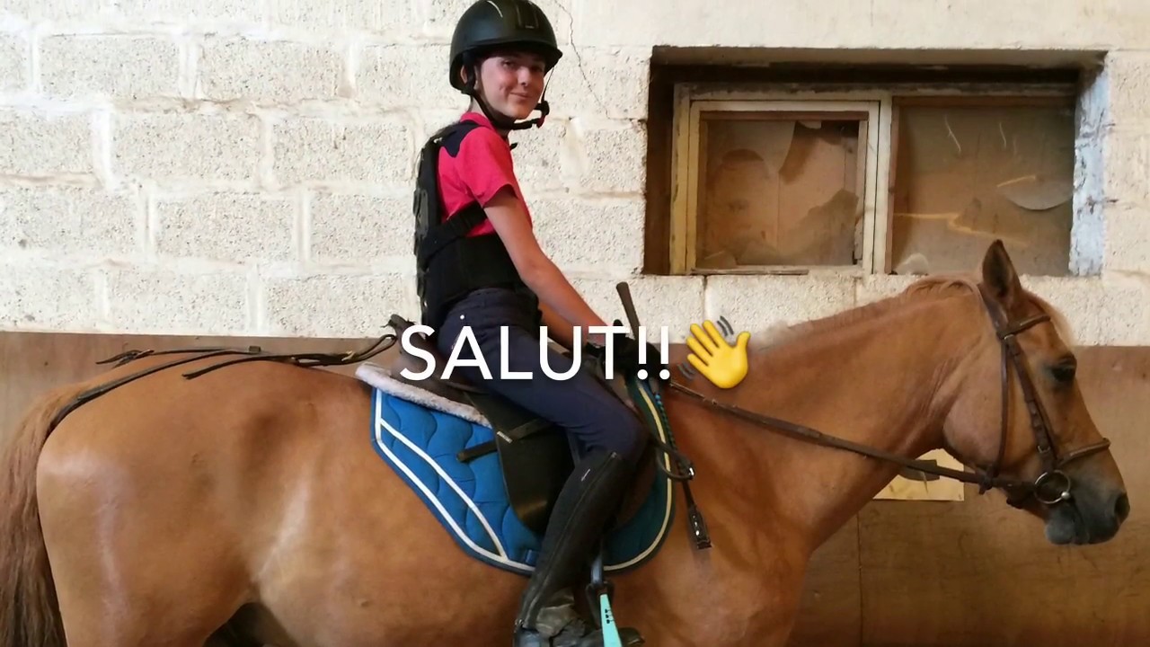 cours de chutes ( 3 chutes 3 poney )