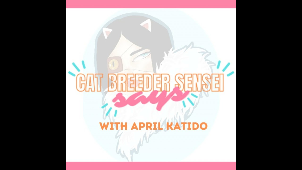 Wisdom Panel: DNA Testing For Your Cats