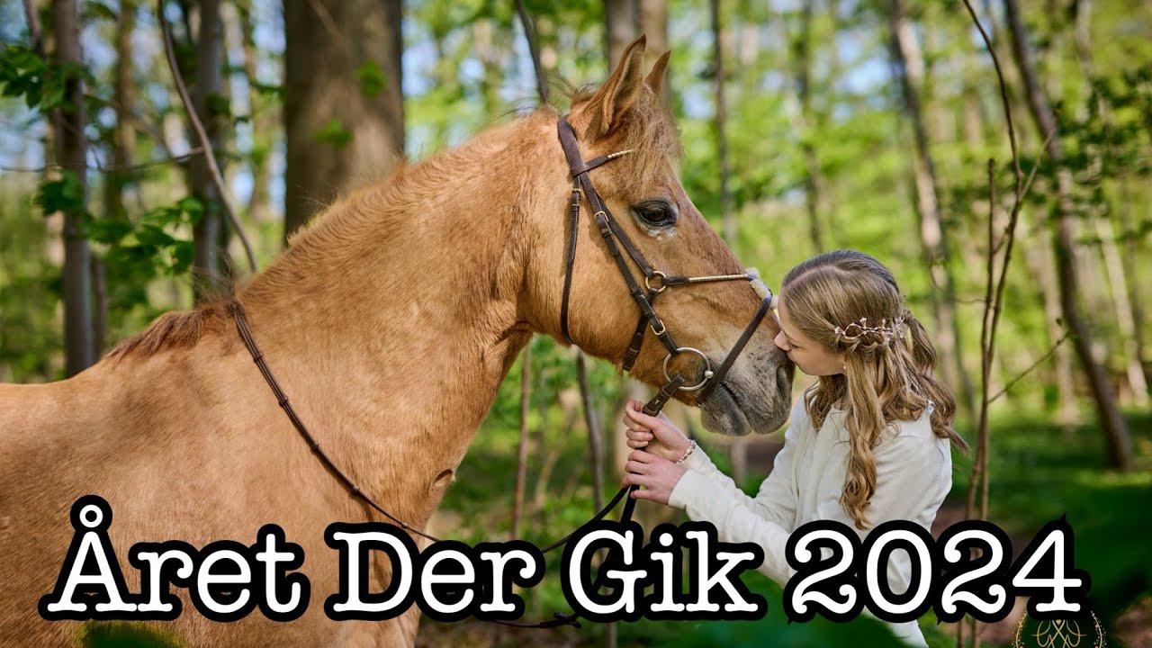 Året Der Gik 2024