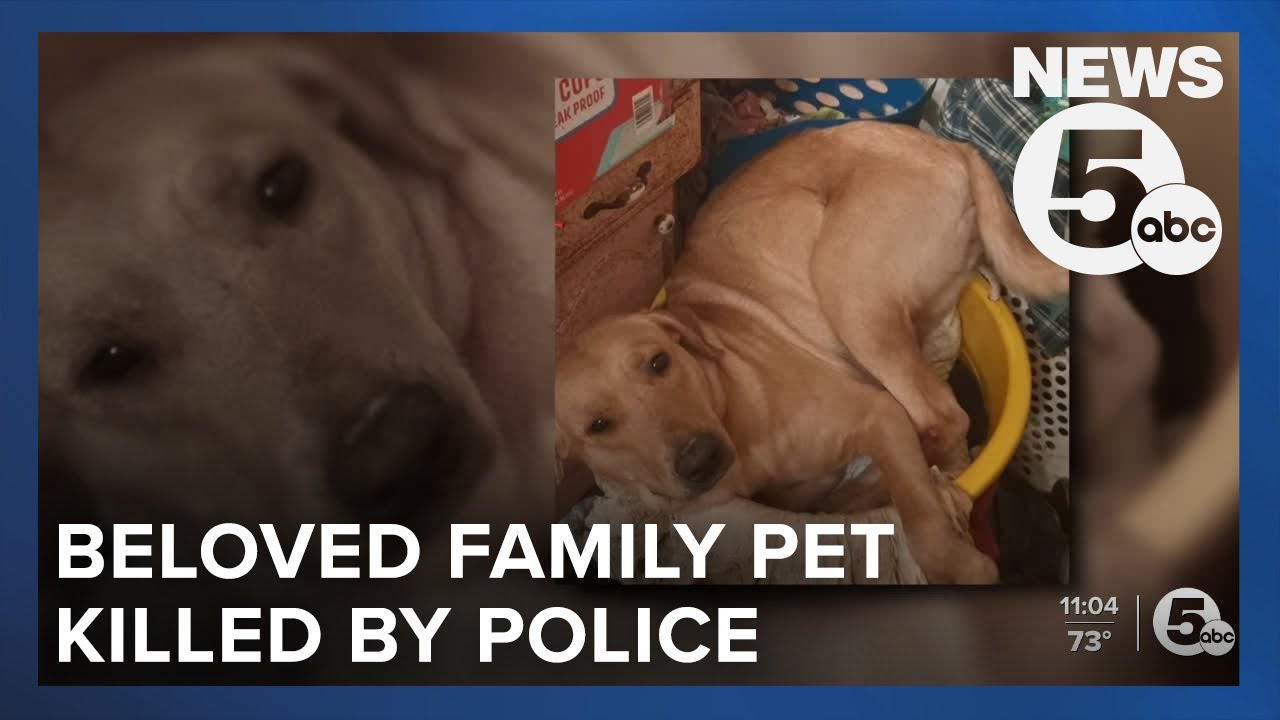 Lorain family outraged after dog shot, killed by police officer