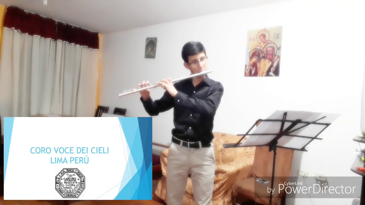 Me robaste el corazon con flauta traversa