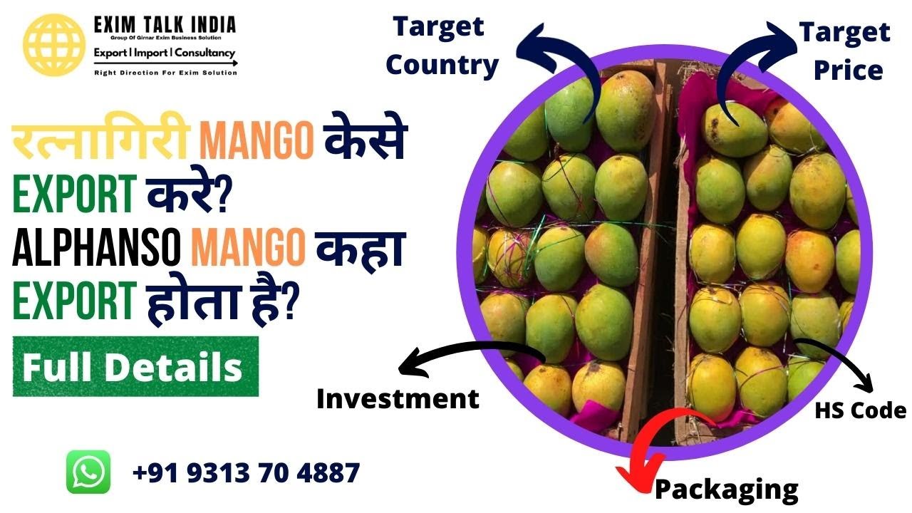Ratnagiri Mango Export: Increase Your Income By Exporting Mangoes!