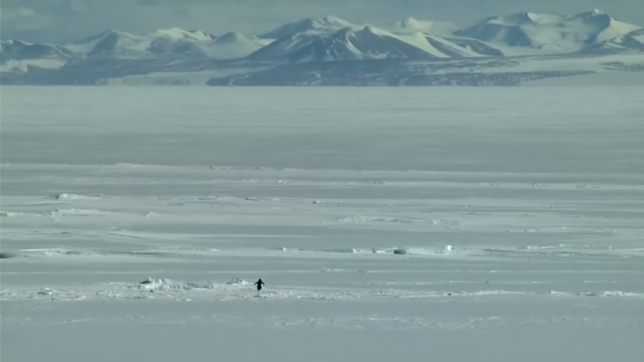 It’s Hard Because It Matters • Healing Soundscape for Gentle Strength