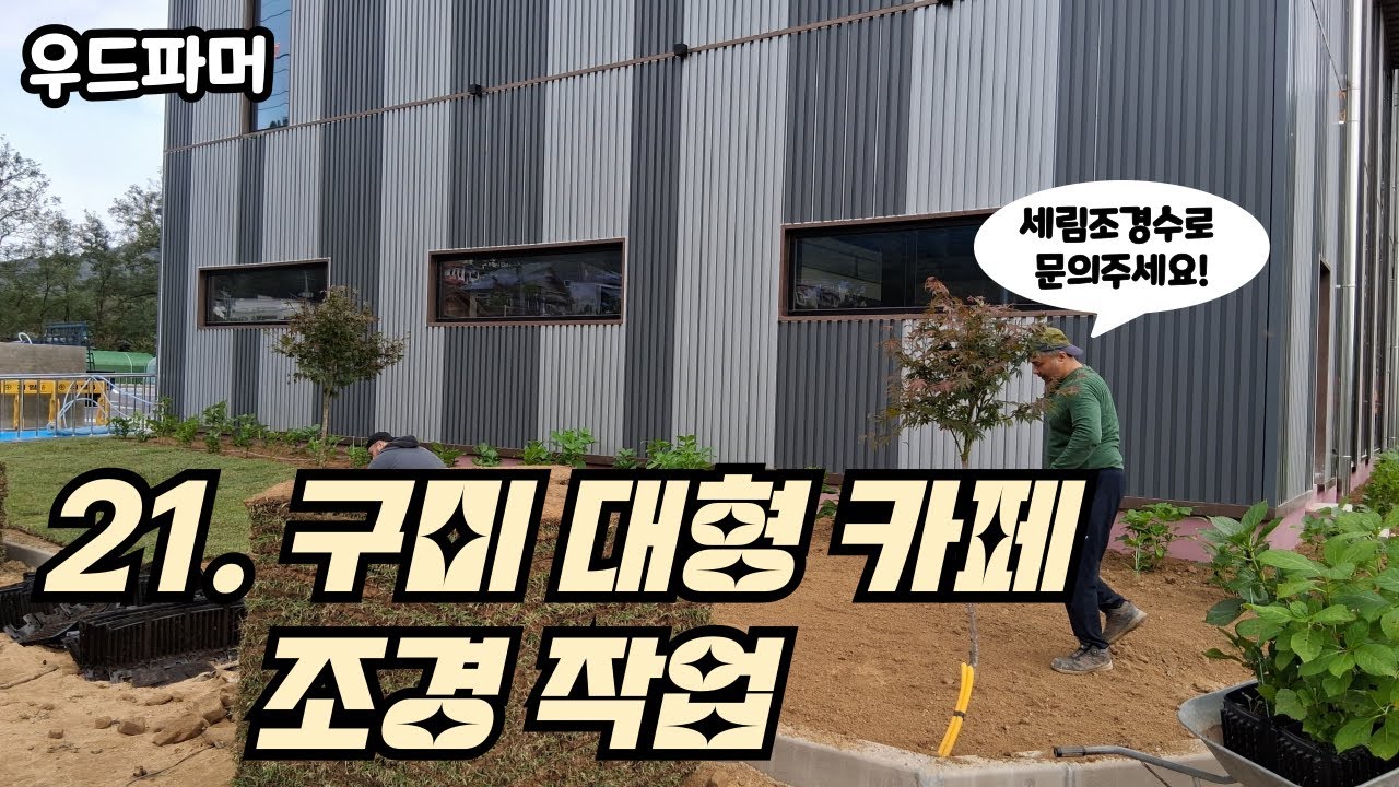 구미 대형 카페 조경 작업