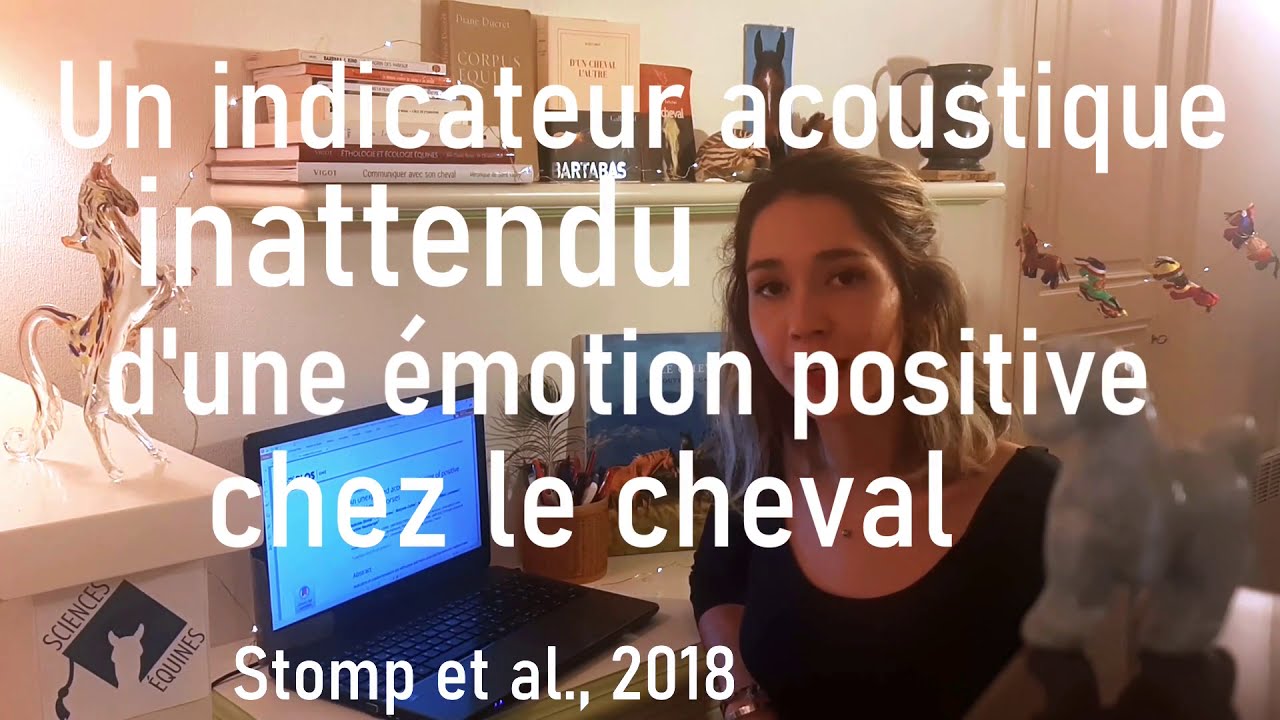 Tendez l'oreille, votre cheval exprime son bien-être/ses émotions !