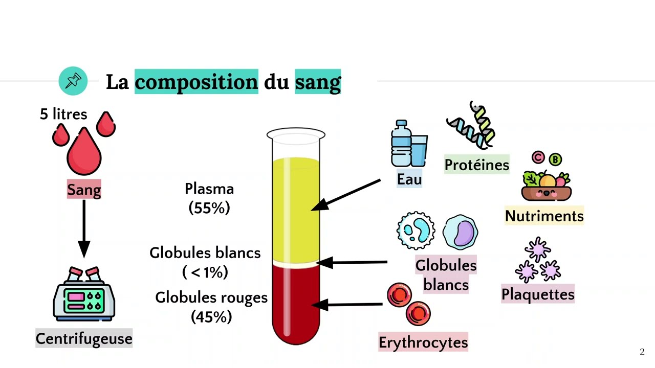 La composition du sang 🩸